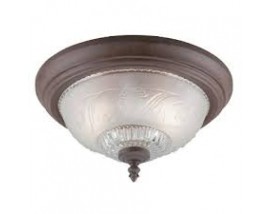 Etched Glass with Clear Floral Light
